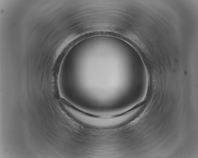 X0000073710926200608031236