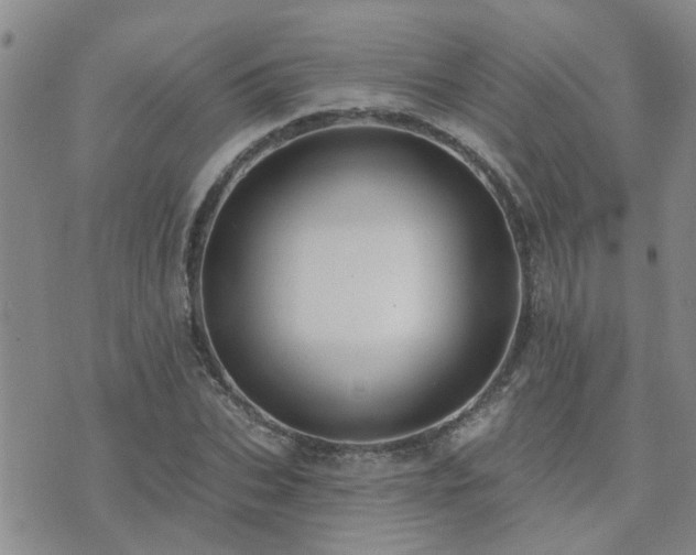 X0000073710927200608031236