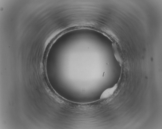 X0000073710928200608031236