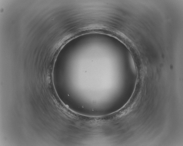 X0000073710929200608031236