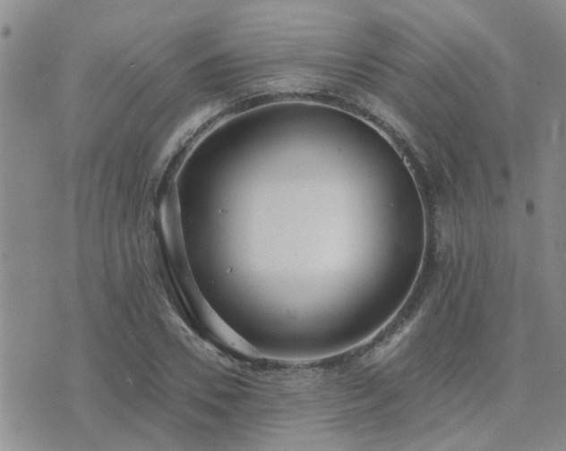 X0000073710930200608031236