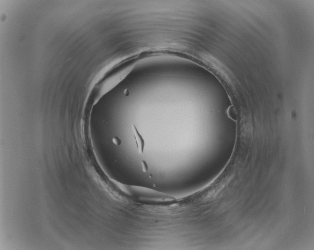 X0000073710932200608031236