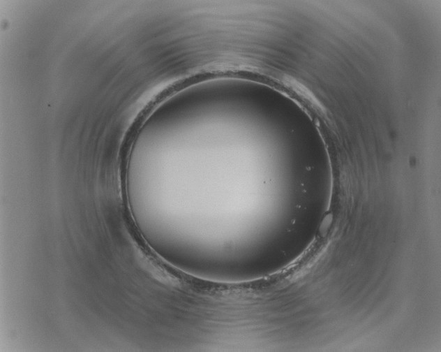 X0000073710934200608031236