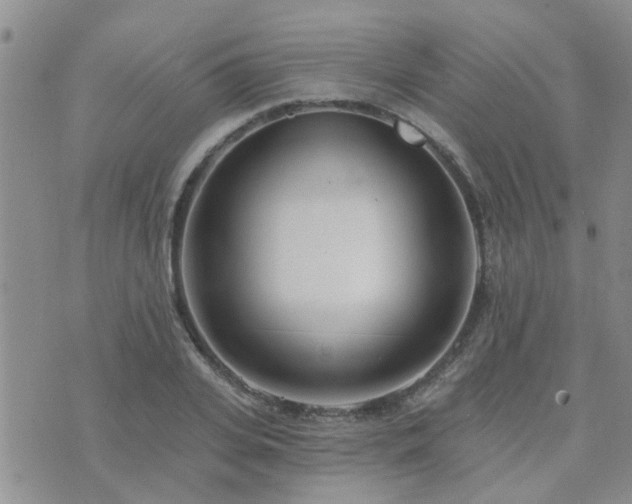 X0000073710935200608031236