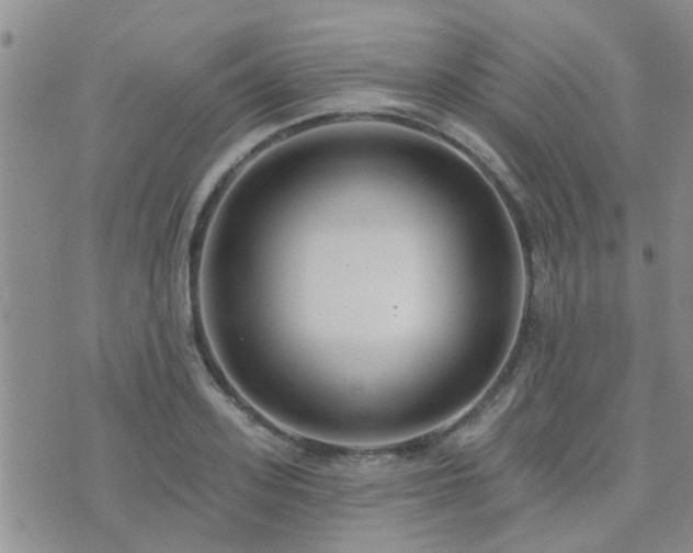 X0000073710939200608031236