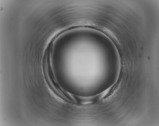 X0000073710942200608031236