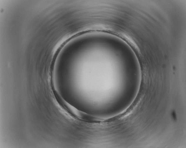 X0000073710944200608031236