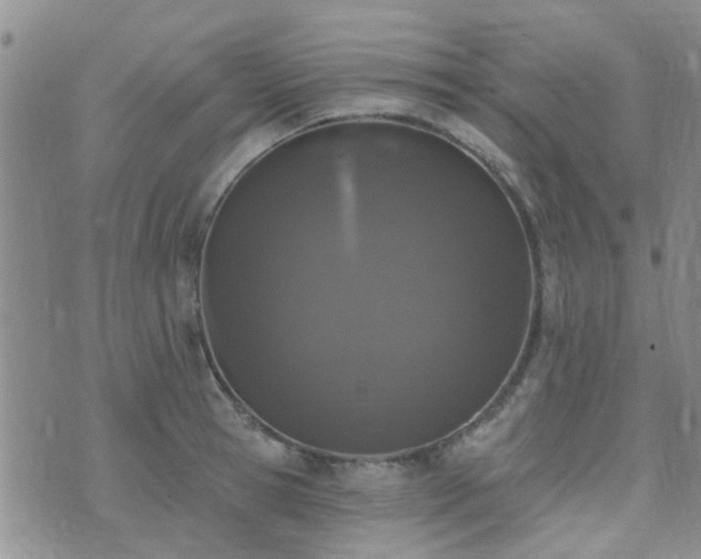 X0000073710945200608031236