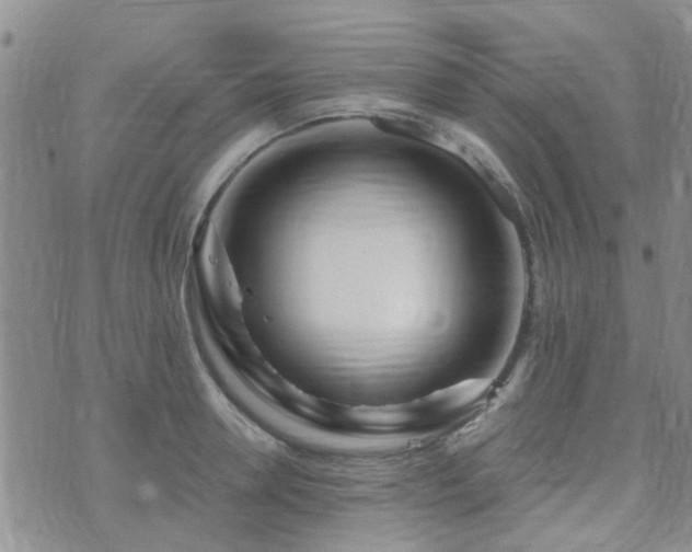 X0000073710946200608031236