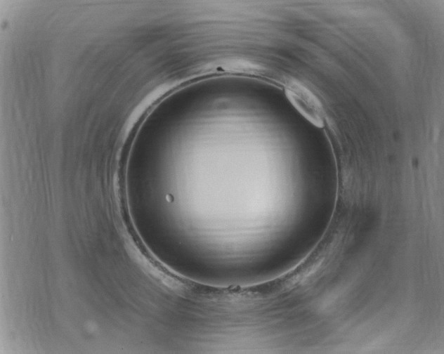 X0000073710947200608031236