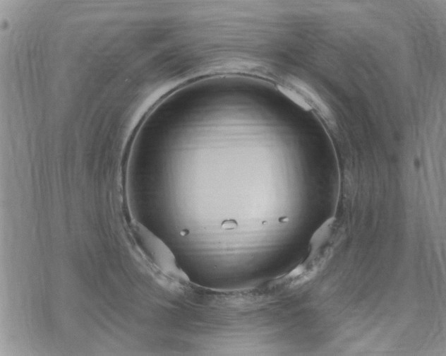 X0000073710948200608031236