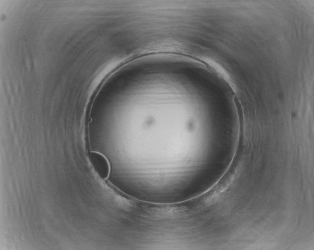 X0000073710949200608031236