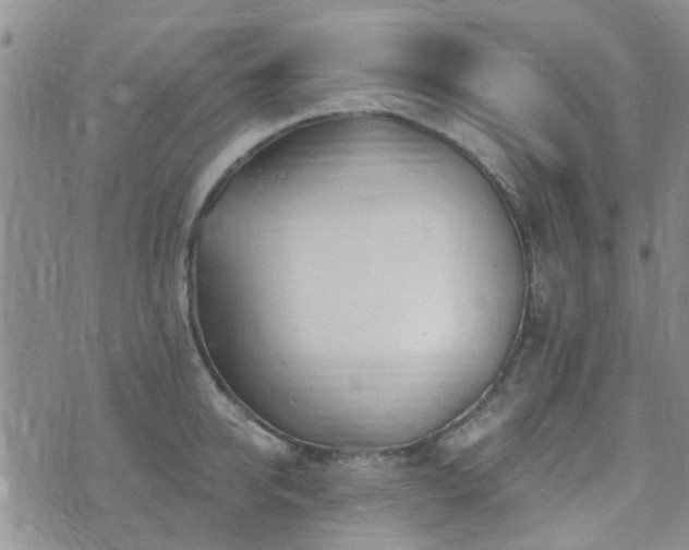 X0000073710950200608031236