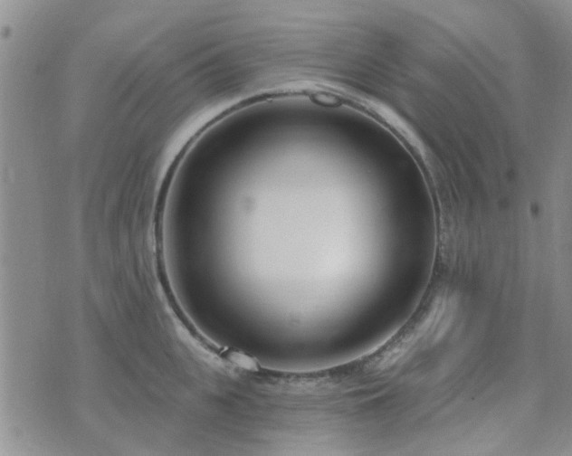 X0000073710951200608031236