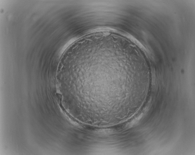 X0000073710953200608031236