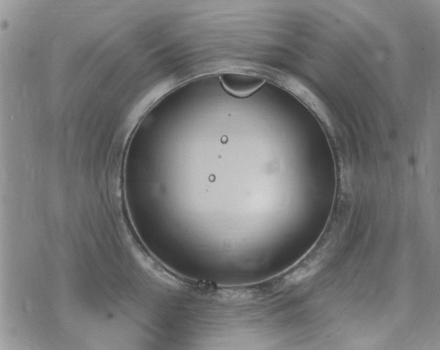 X0000073710954200608031236