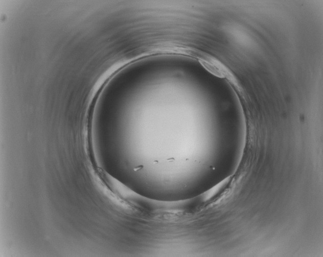 X0000073710955200608031236