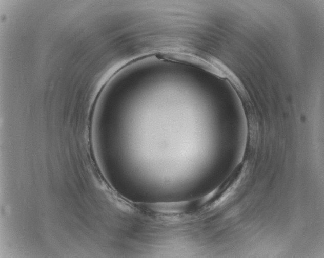 X0000073710956200608031236