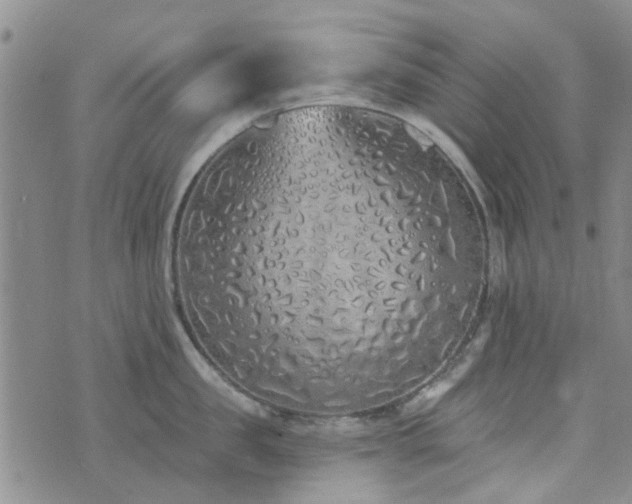 X0000073710957200608031236