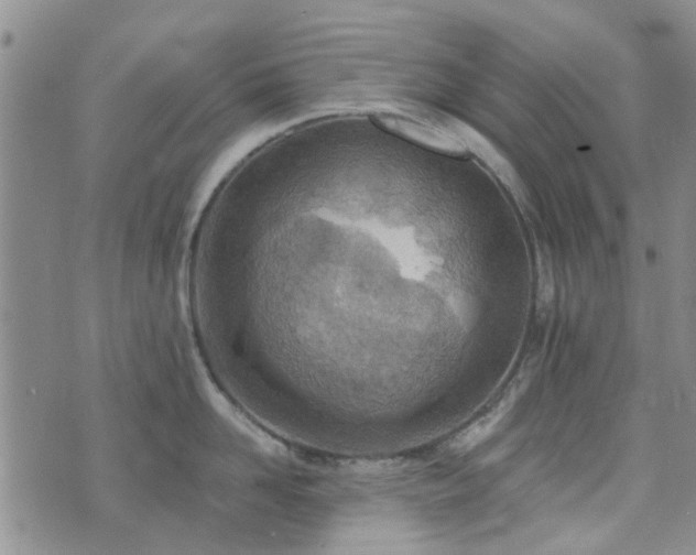 X0000073710958200608031236