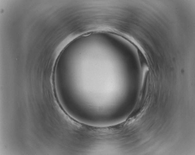 X0000073710959200608031236