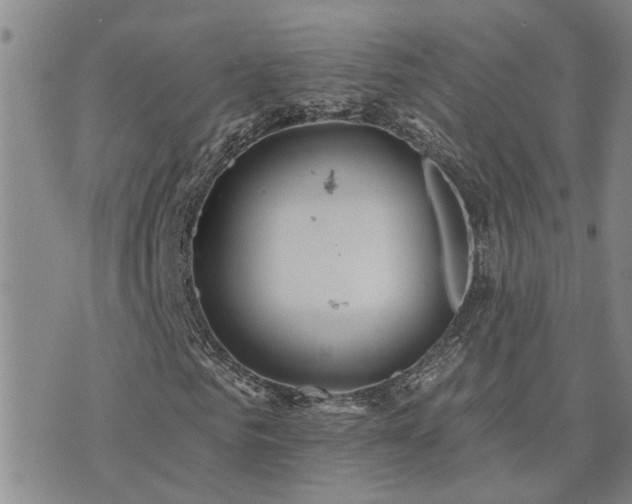 X0000073710961200608031235