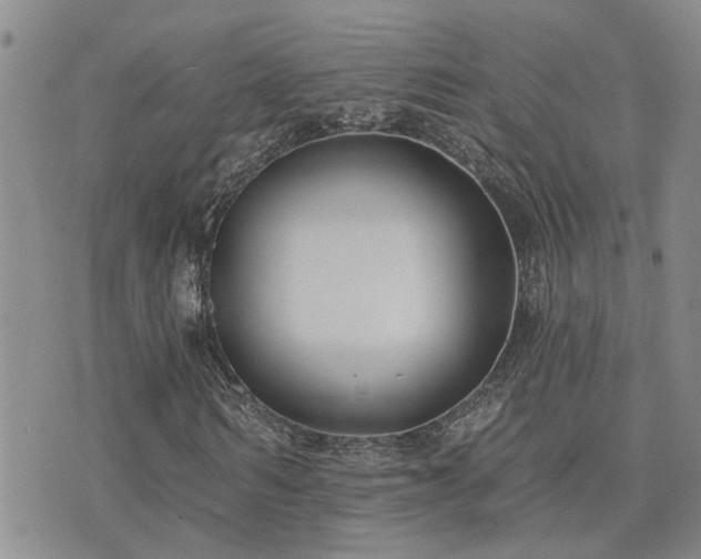 X0000073710962200608031235