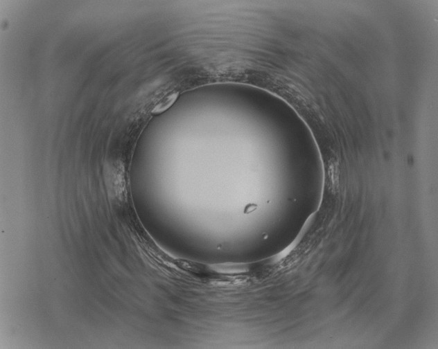 X0000073710963200608031235