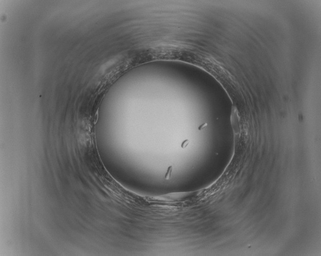 X0000073710964200608031235