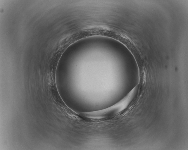 X0000073710965200608031235