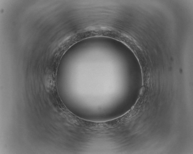 X0000073710966200608031235