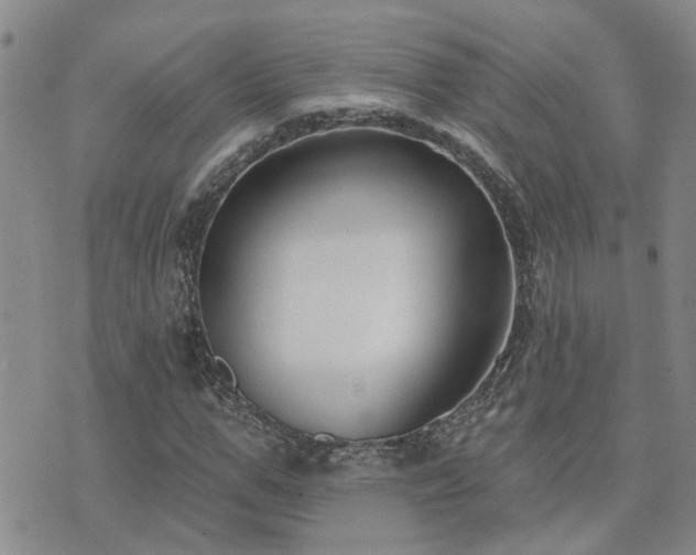 X0000073710967200608031235