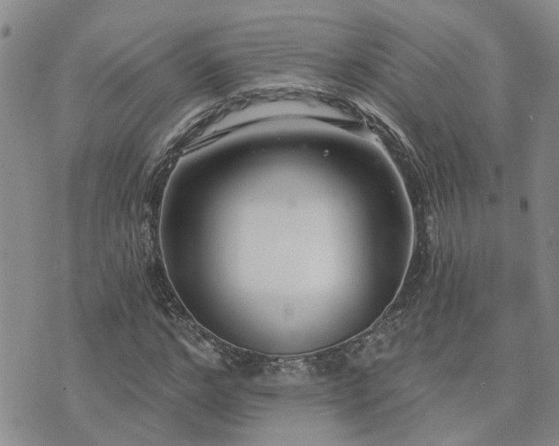 X0000073710968200608031235