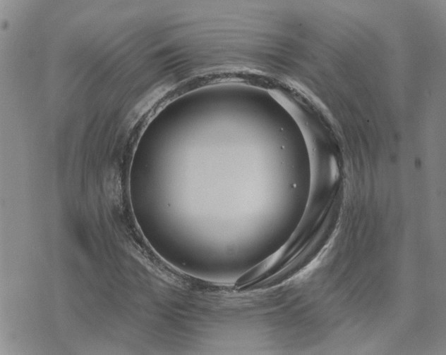 X0000073710969200608031235