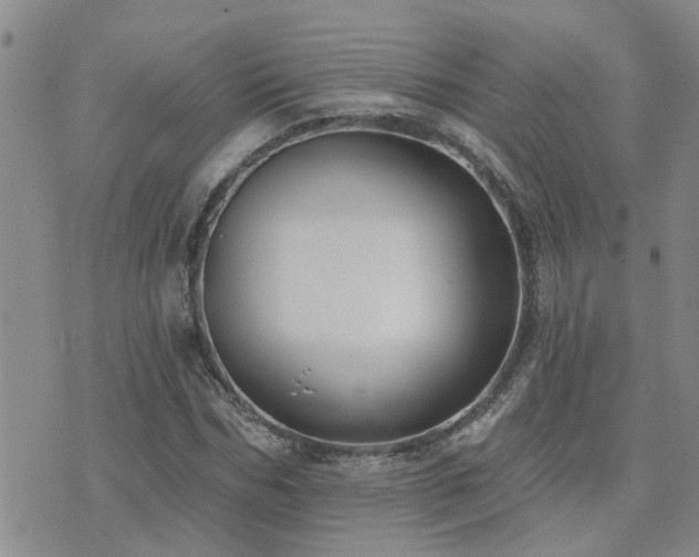 X0000073710970200608031235