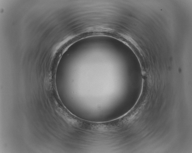 X0000073710971200608031235