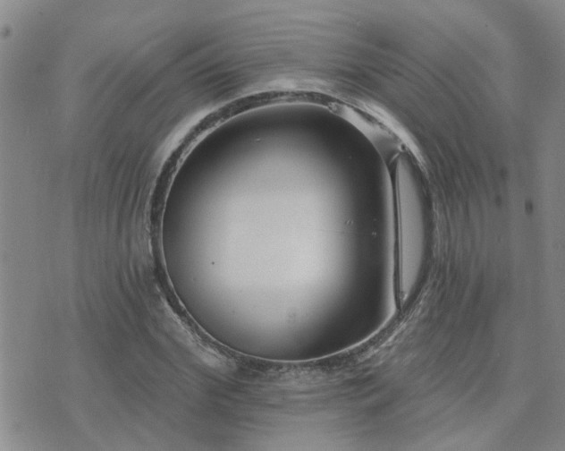 X0000073710972200608031235