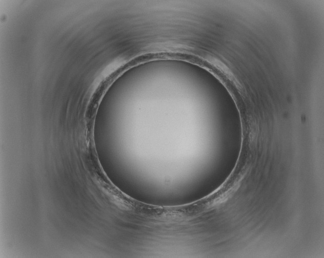 X0000073710974200608031235