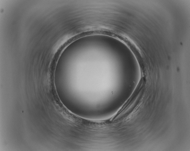 X0000073710975200608031235