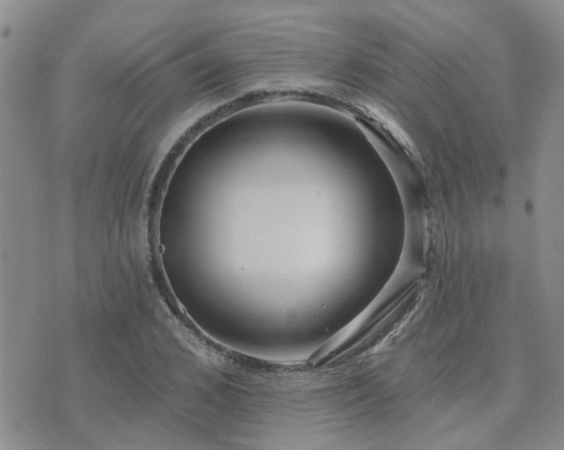 X0000073710976200608031235