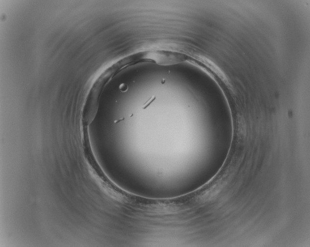 X0000073710980200608031235