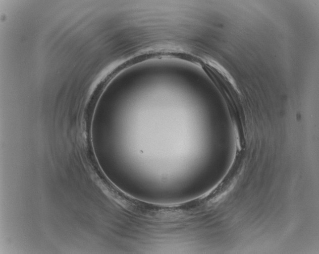 X0000073710981200608031235