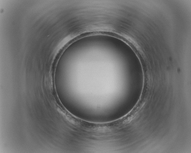 X0000073710982200608031235