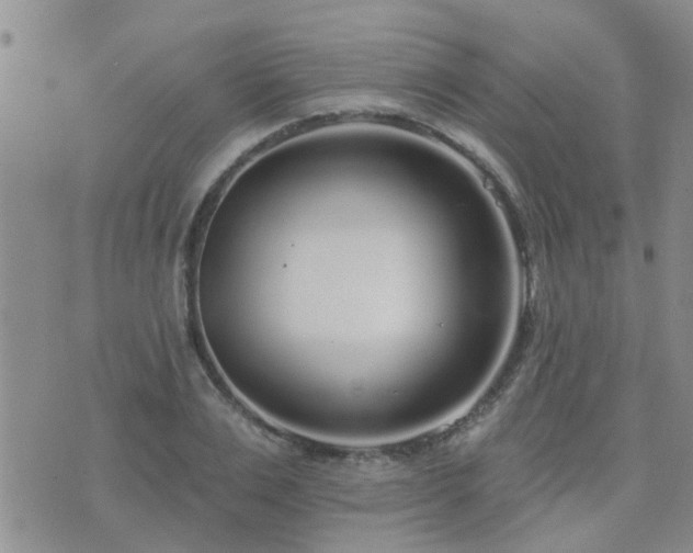 X0000073710983200608031235