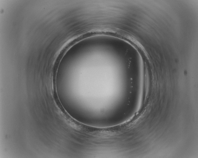 X0000073710984200608031235