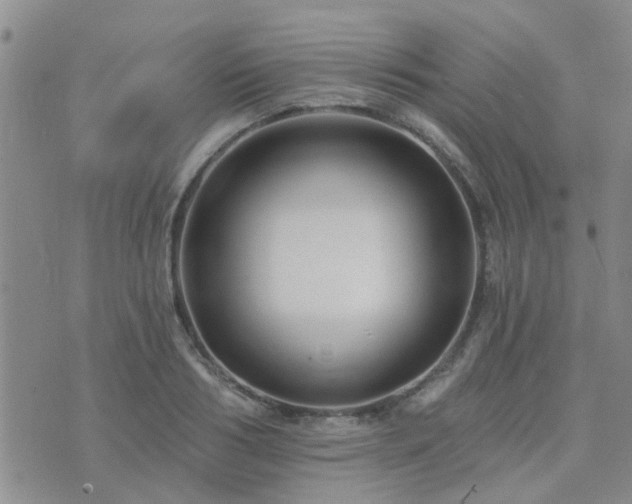 X0000073710986200608031235