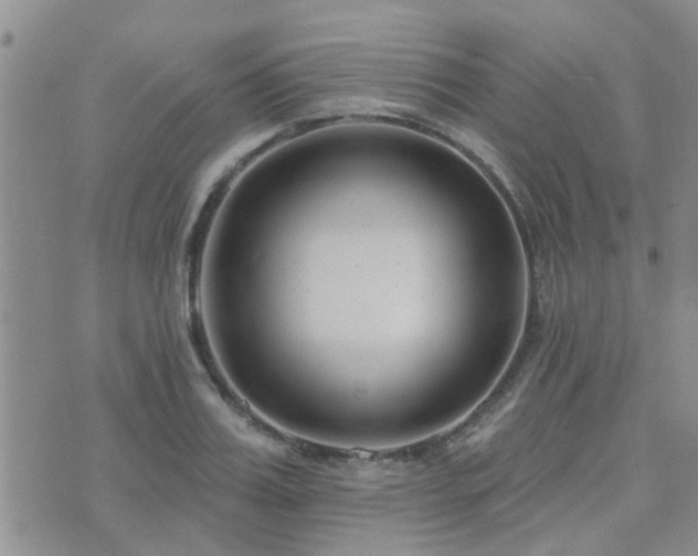 X0000073710987200608031235