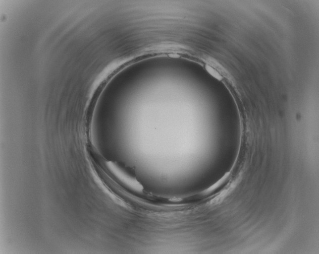 X0000073710989200608031235