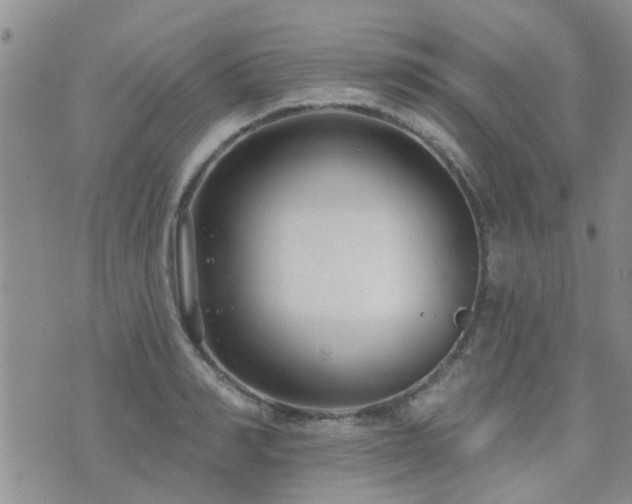 X0000073710990200608031235