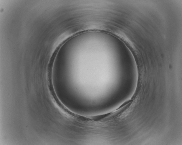 X0000073710991200608031235